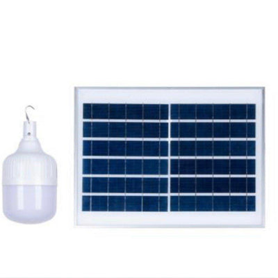 S10-50 small pendant light bulb with plate