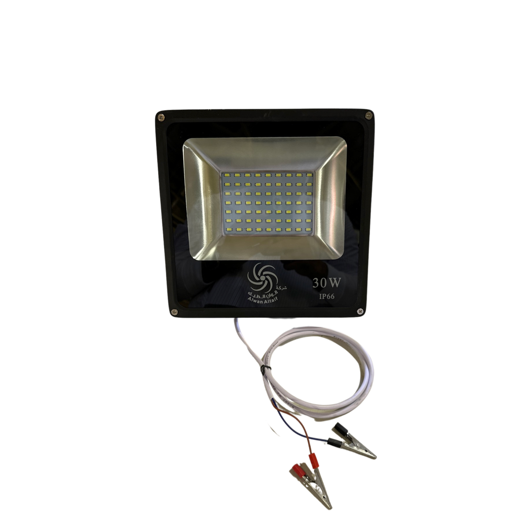 30W 12V Solar Flood Light