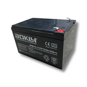 12Ah 12V Battery | Alwan Al-Taif Kuwait